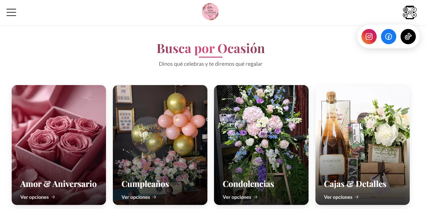 Proyecto New-flowers 1